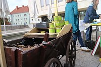 Bild: Zum Bibliothekstag drehte sich alles um flei&szlig;ige Bienen und s&uuml;&szlig;en Honig