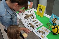 Bild: Zum Bibliothekstag drehte sich alles um flei&szlig;ige Bienen und s&uuml;&szlig;en Honig