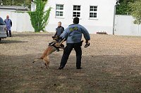 Tag der offenen Tür bei der Landespolizeiinspektion NOrdhausen Bild: Tag der offenen Tür bei der Landespolizeiinspektion NOrdhausen