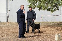 Tag der offenen Tür bei der Landespolizeiinspektion NOrdhausen Bild: Tag der offenen Tür bei der Landespolizeiinspektion NOrdhausen