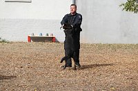 Tag der offenen Tür bei der Landespolizeiinspektion NOrdhausen Bild: Tag der offenen Tür bei der Landespolizeiinspektion NOrdhausen