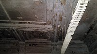 Bild: Lindenhof besichtigt