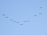 Bild: Die Vorboten flogen an
