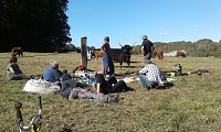 Bild: Zehn Enthusiasten im Feuchtgebiet
