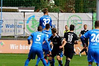 Bild: Drei Punkte gegen Halberstadt