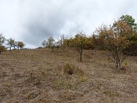 Bild: Geplante Neuverritzungsfl&auml;che zwischen Steigerthal und Stempeda