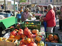 Bild: Buntes Treiben auf dem Nordh&auml;user "Marktplatz"