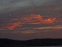 Bild: Kraniche am Stausee