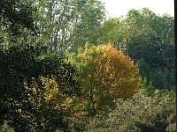 Bild: Herbstlicher Spaziergang