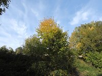 Bild: Herbstlicher Spaziergang