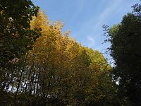 Bild: Herbstlicher Spaziergang