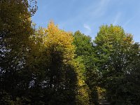 Bild: Herbstlicher Spaziergang