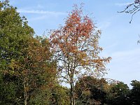 Bild: Herbstlicher Spaziergang