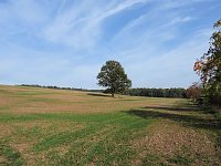 Bild: Herbstlicher Spaziergang