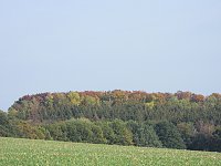 Bild: Herbstlicher Spaziergang