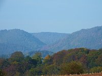 Bild: Herbstlicher Spaziergang