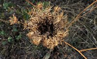 Bild: Herbstlicher Spaziergang