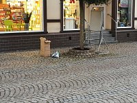 Bild: Heringen wurde sch&ouml;ner