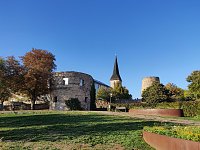 Bild: Farbenpracht auf dem Petersberg und in der Luft