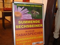Bild: Summende Sechsbeiner im Tabakspeicher