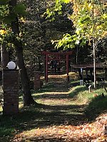 Bild: Besuch im Ahornpark Ilfeld