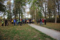 Bild: Stadtparklauf in Sondershausen (2)