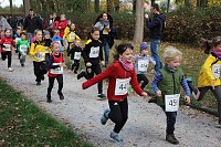 Bild: Stadtparklauf in Sondershausen (2)