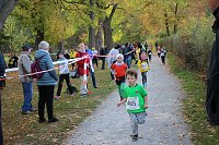 Bild: Stadtparklauf in Sondershausen (2)