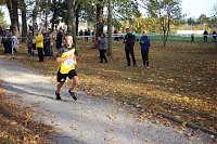 Bild: Stadtparklauf in Sondershausen (2)