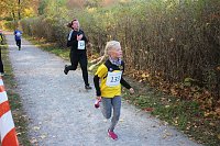 Bild: Stadtparklauf in Sondershausen (2)