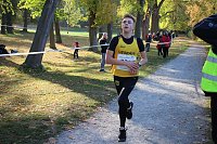 Bild: Stadtparklauf in Sondershausen (2)