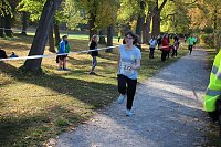 Bild: Stadtparklauf in Sondershausen (2)