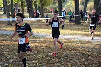 Bild: Stadtparklauf in Sondershausen (2)