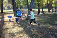 Bild: Stadtparklauf in Sondershausen (2)