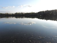 Bild: Eine Runde Kiesteich