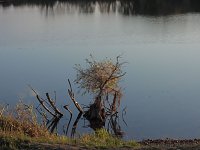 Bild: Eine Runde Kiesteich