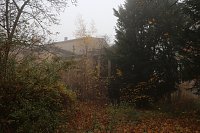 Bild: Besuch auf dem Lindenhof