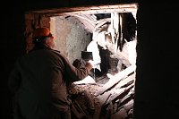 Bild: Besuch auf dem Lindenhof