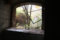 Bild: Besuch auf dem Lindenhof