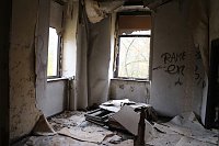 Bild: Besuch auf dem Lindenhof