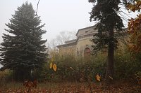Bild: Besuch auf dem Lindenhof
