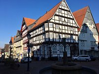 Bild: Fahrt ins Blaue mit Brauer Reisen
