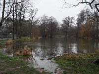 Bild: Die ersten Fr&uuml;hlingsboten?