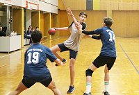 Bild: Schulamtsfinale 2019 im Handball