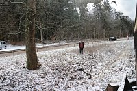 Bild: Mit der HSB auf den Brocken