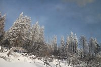 Bild: Mit der HSB auf den Brocken
