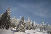 Bild: Mit der HSB auf den Brocken