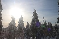 Bild: Mit der HSB auf den Brocken