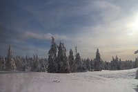 Bild: Mit der HSB auf den Brocken