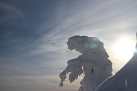 Bild: Mit der HSB auf den Brocken